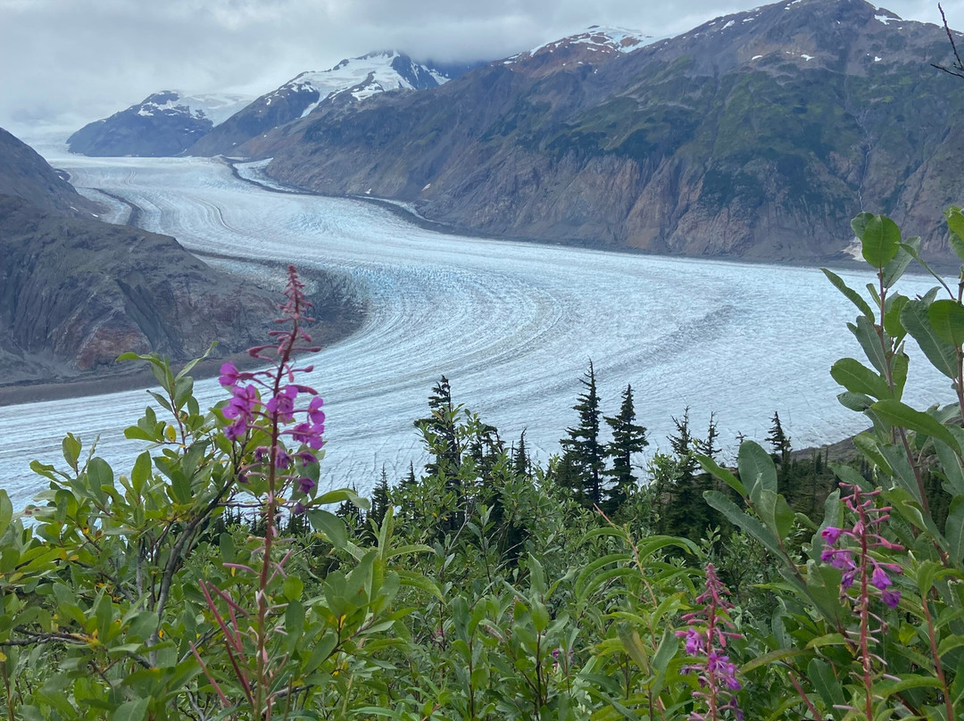 Whitecap to Icecap Adventures景点图片