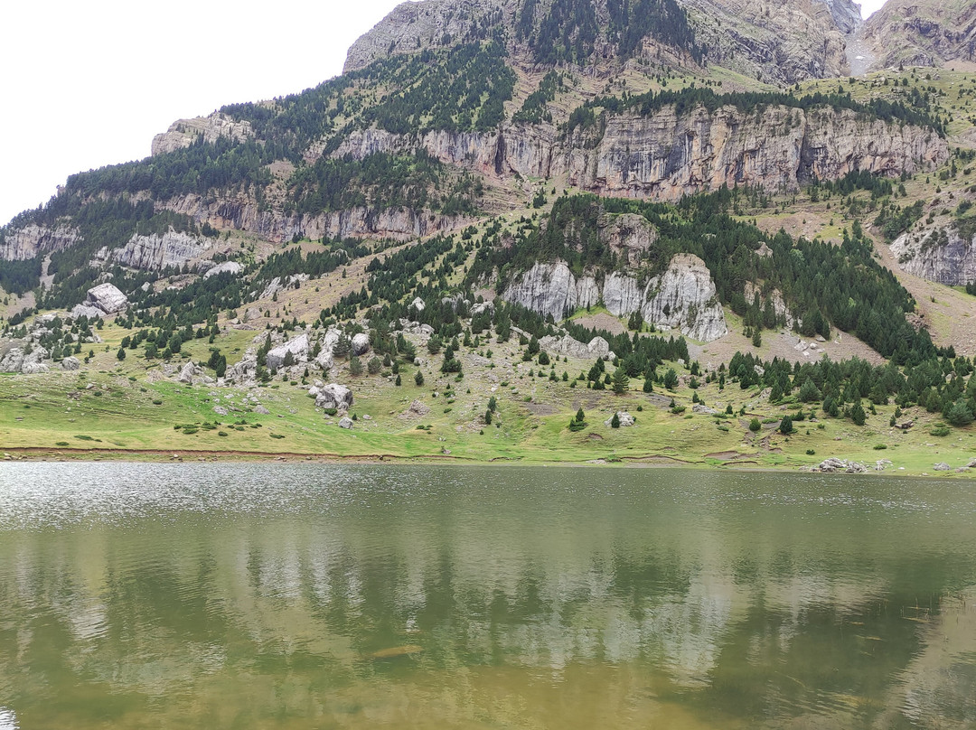Tren Turistico Valle de Tena景点图片