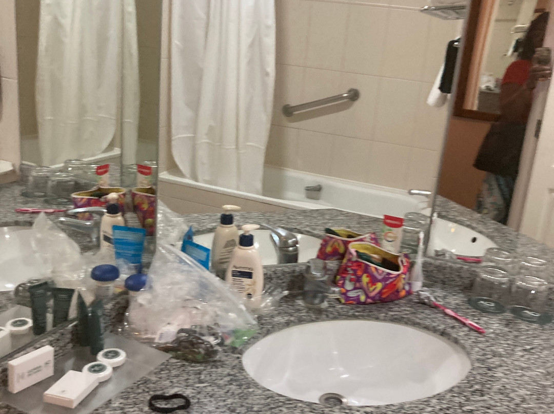 蓬塔阿雷纳斯圣迭戈德阿尔马格罗酒店主图