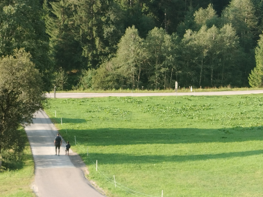 Hotel Larchhof Ratschings主图