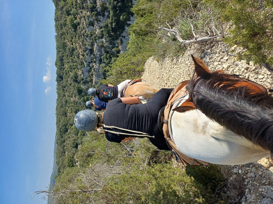 Les Chevaux du Verdon景点图片