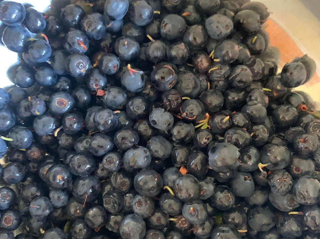 Hotel Nordurljos主图