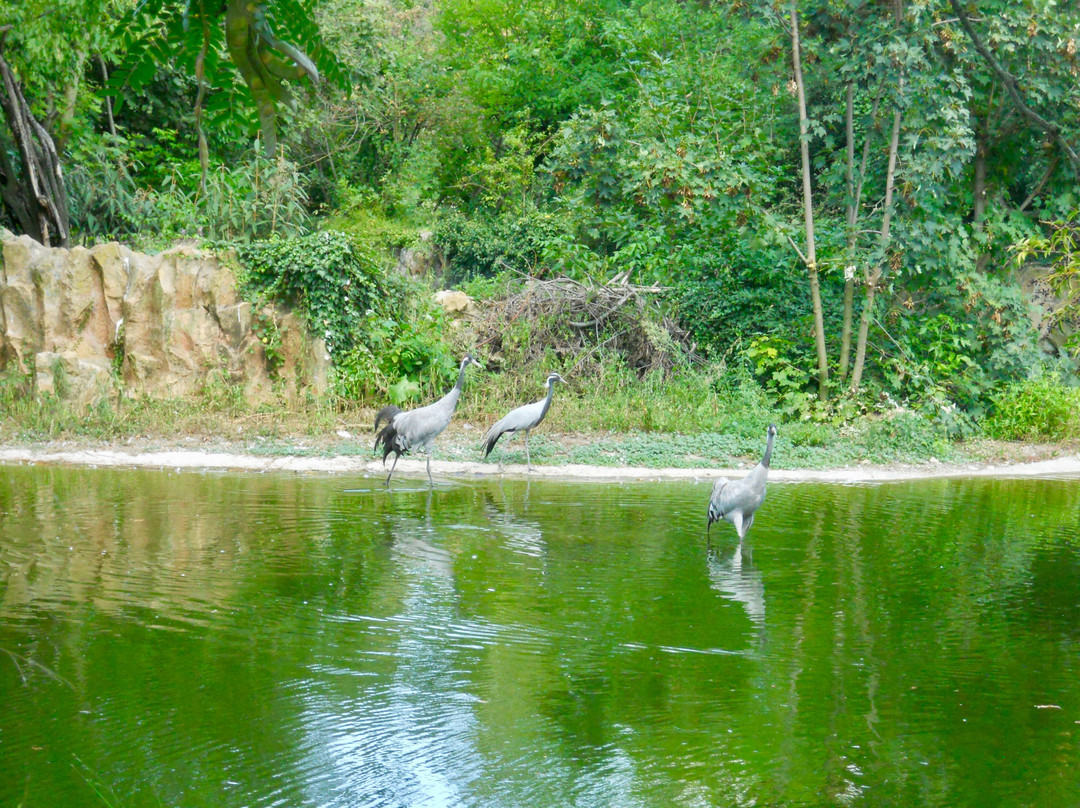 Zoo de Lyon-里昂必去景点