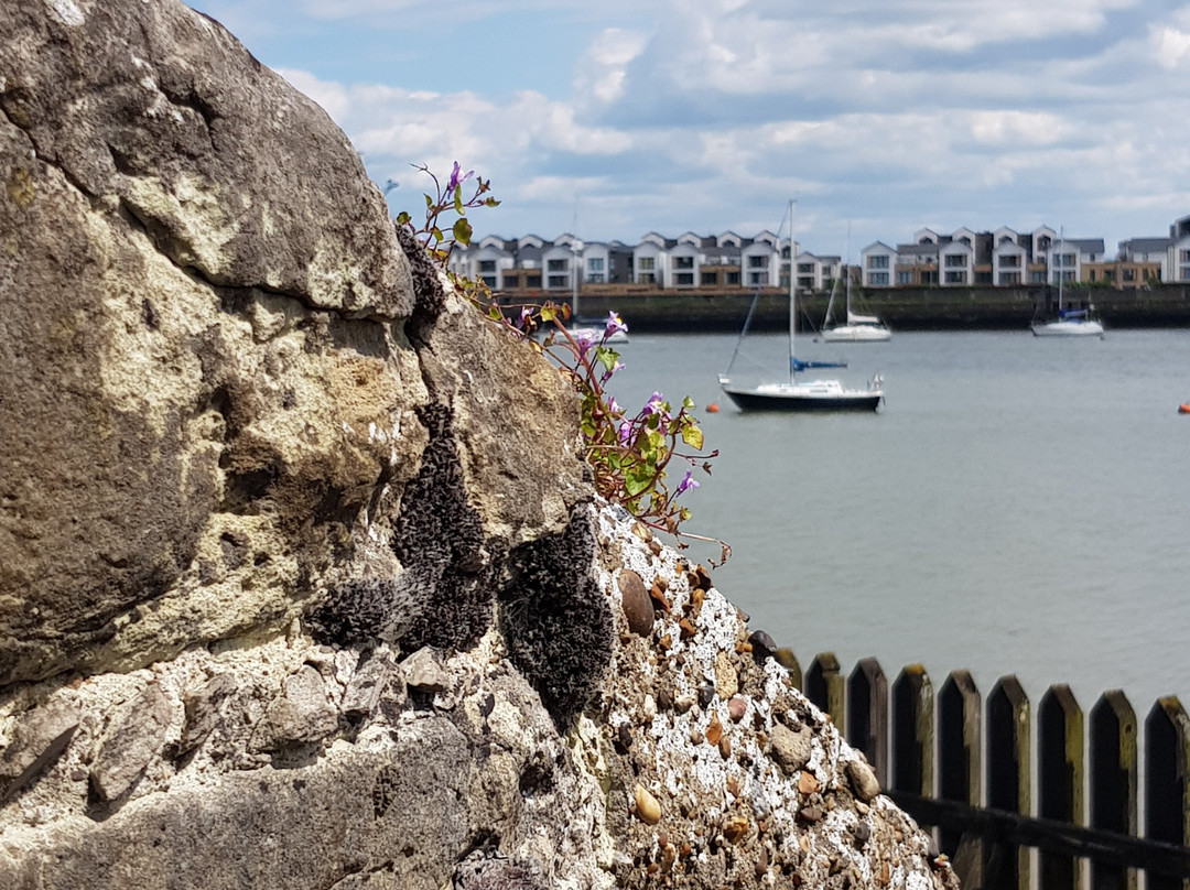 Upnor Castle景点图片