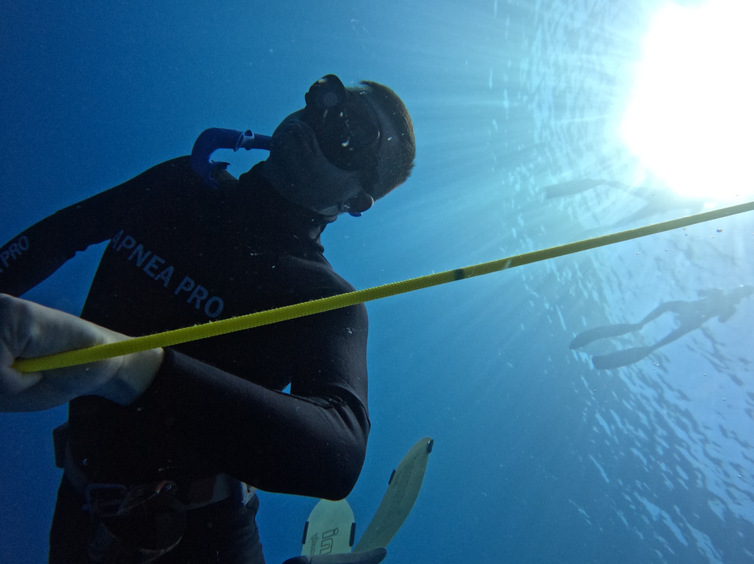 Freedive Cosmos景点图片