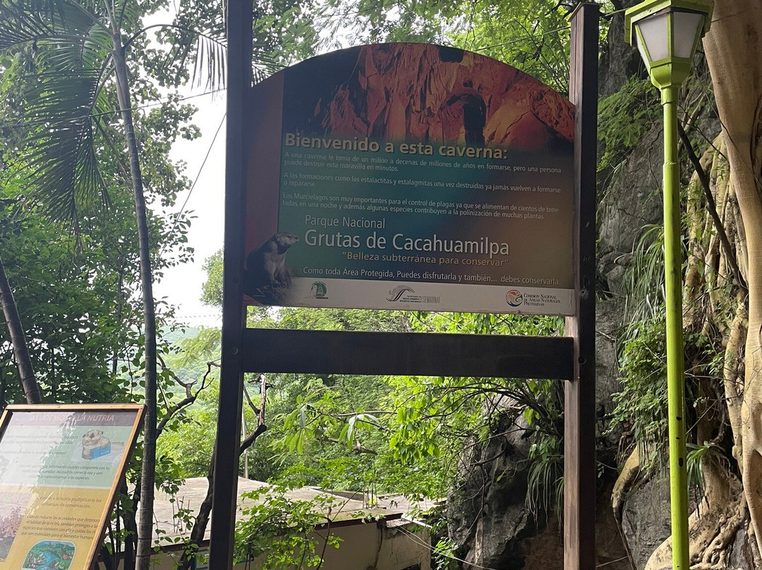 Parque Nacional Grutas de Cacahuamilpa景点图片