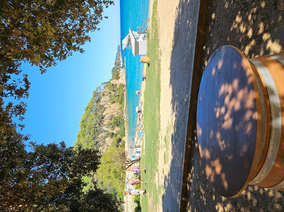 Playa de Santa Cristina景点图片