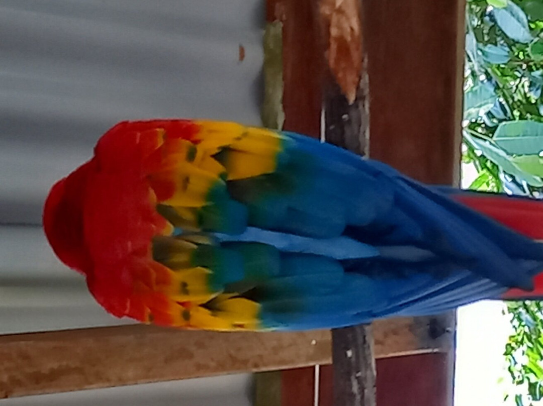 Birdworld Kuranda-库兰达必去景点