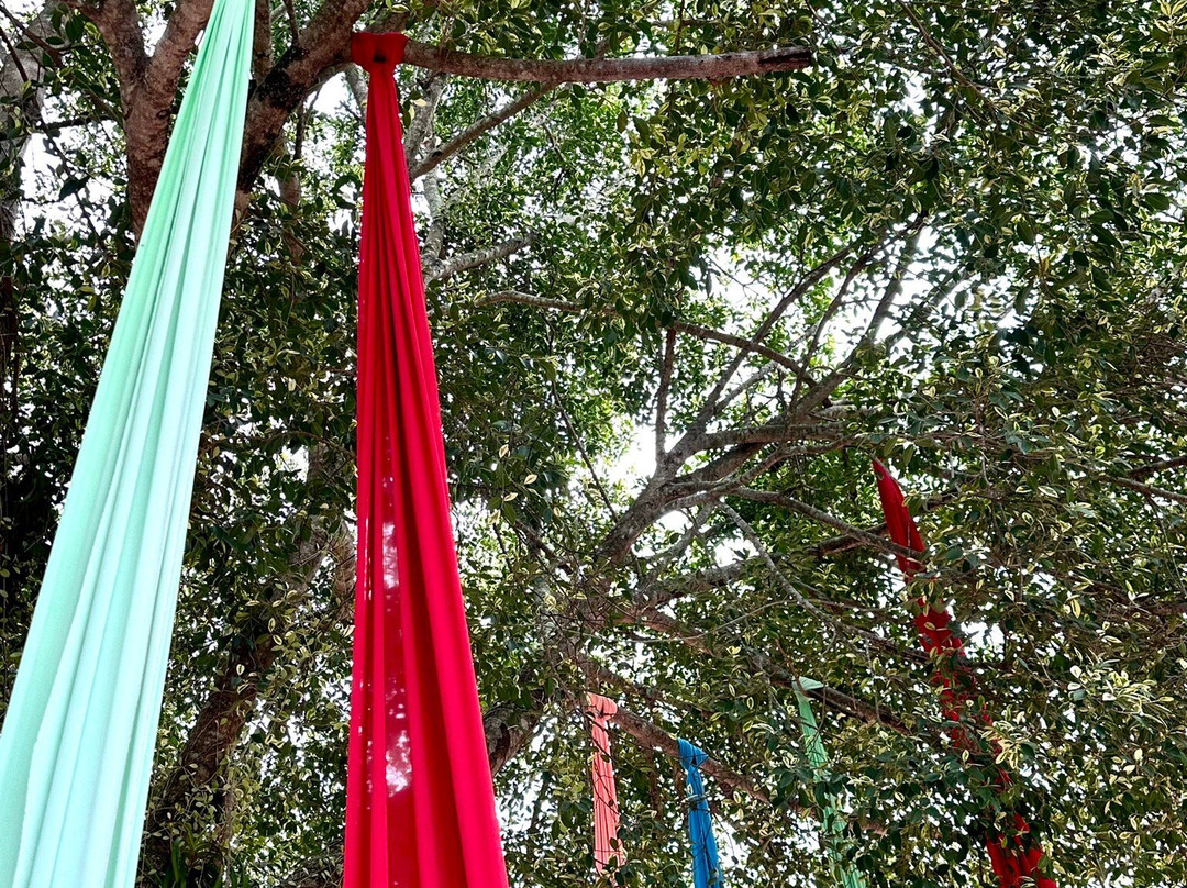 Wat Phuket景点图片