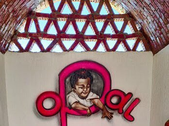 Opal Privat Nubian Hotel主图
