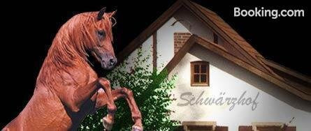 施瓦兹霍夫兰德酒店主图