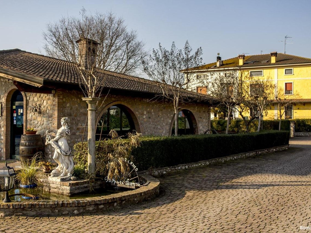 Agriturismo Gaspari Farm主图