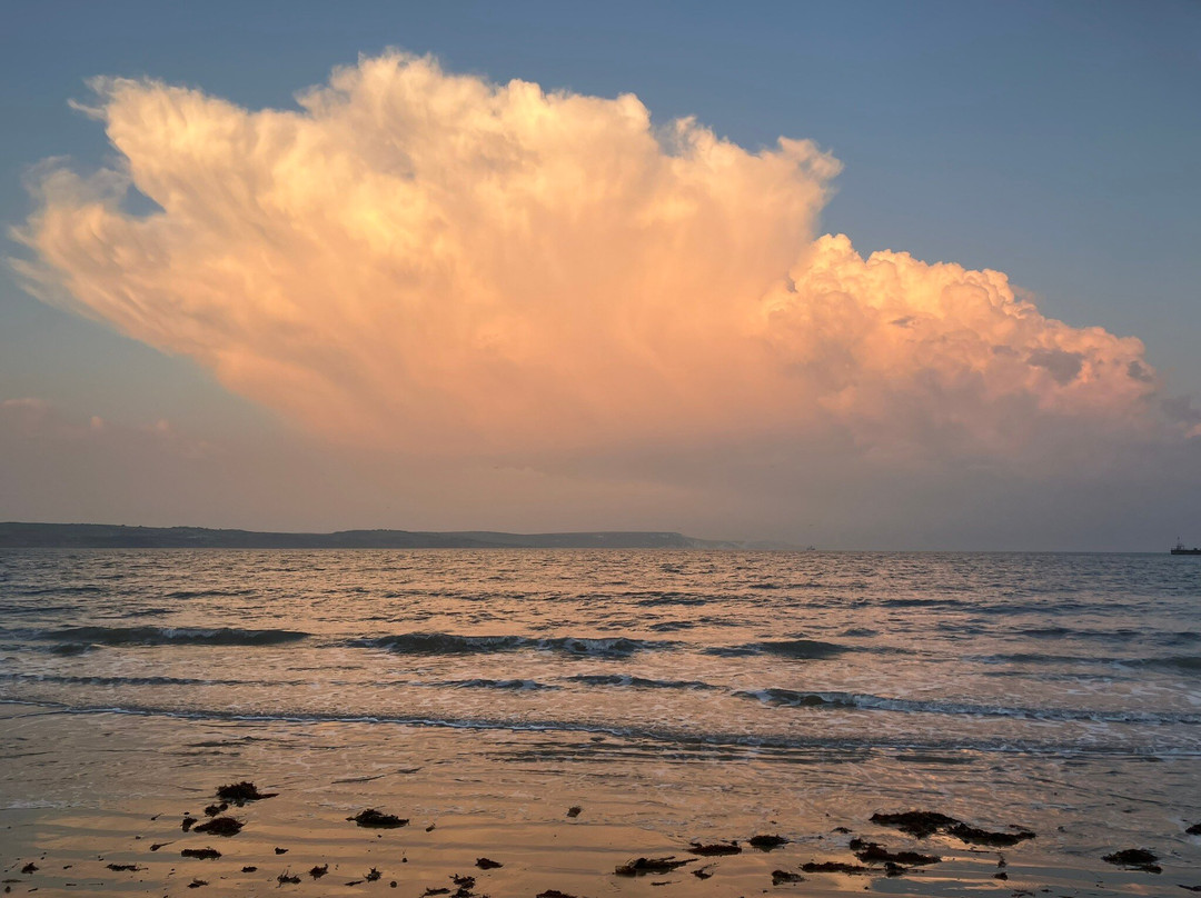 Driftwood Bed & Breakfast主图