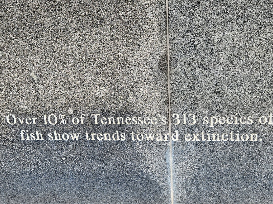 Bicentennial Capitol Mall State Park-纳什维尔必去景点