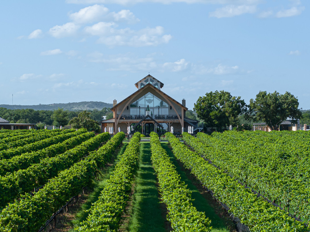 Augusta Vin Winery-弗雷德里克斯堡必去景点