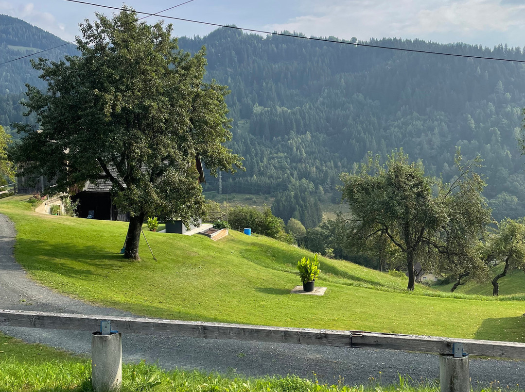 Pension Almhof主图