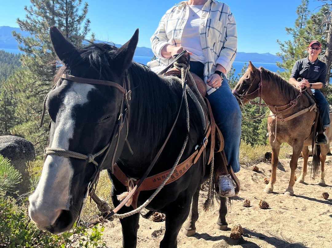 Zephyr Cove Stables-Zephyr Cove必去景点