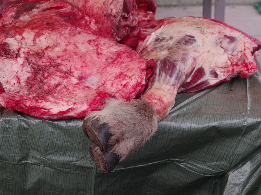 The Fish Market-Qaqortoq必去景点