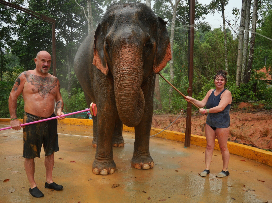Elephant Care Park​ Phuket​-呈塔累必去景点