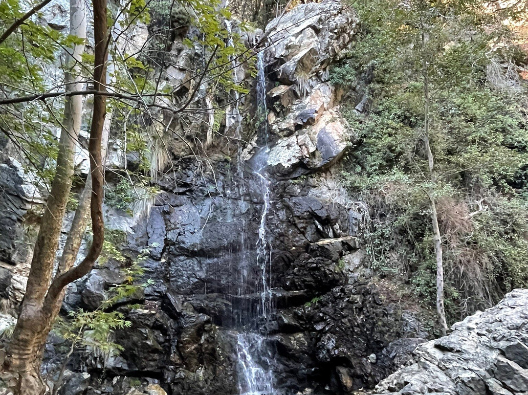 Caledonia Waterfall-帕拉翠斯必去景点