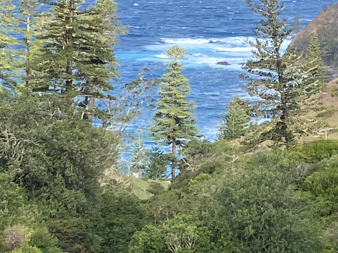 Ball Bay-诺福克岛必去景点