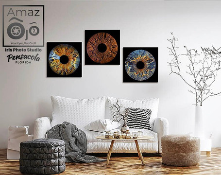 Amazojo Iris Photo Studio-彭萨科拉必去景点