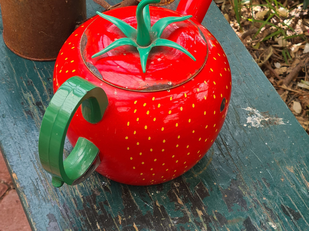 De Zelfpluktuin-特塞尔必去景点