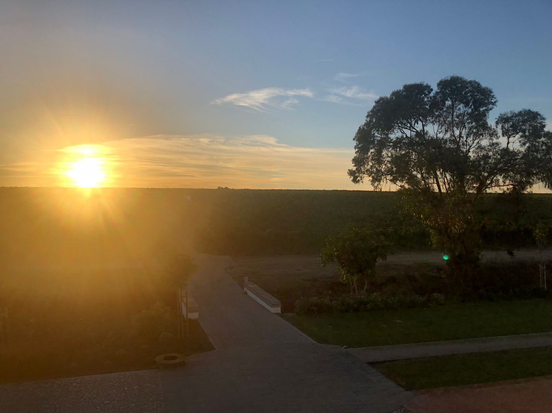 Quinta do Paral-Selmes必去景点