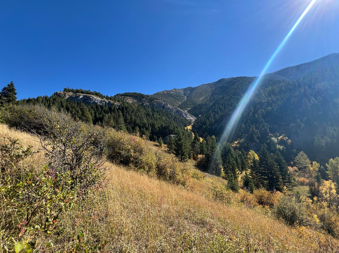 Middle Cottonwood Trailhead-博兹曼必去景点