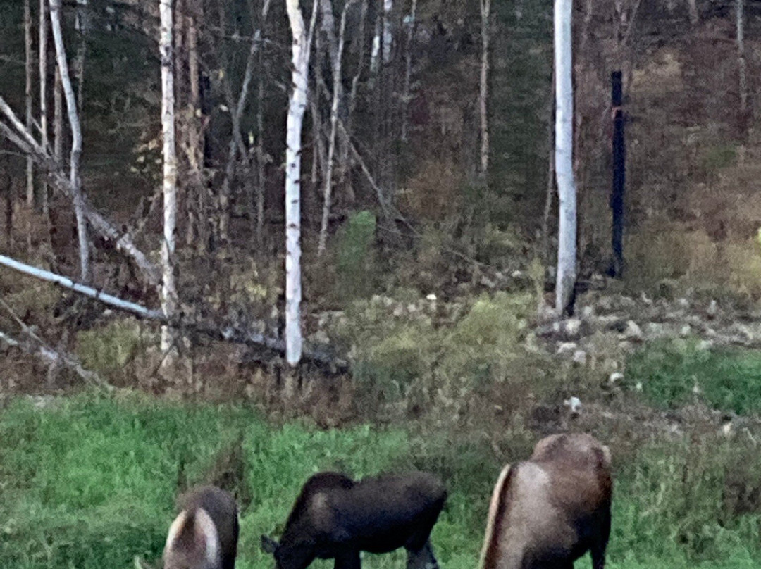 阿拉斯加吉尔兹乐小屋酒店主图