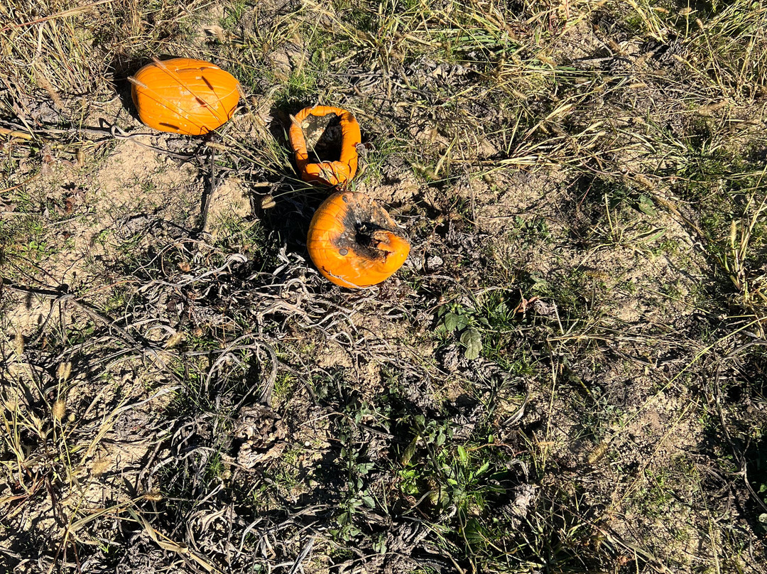 The Apple Works-Trafalgar必去景点