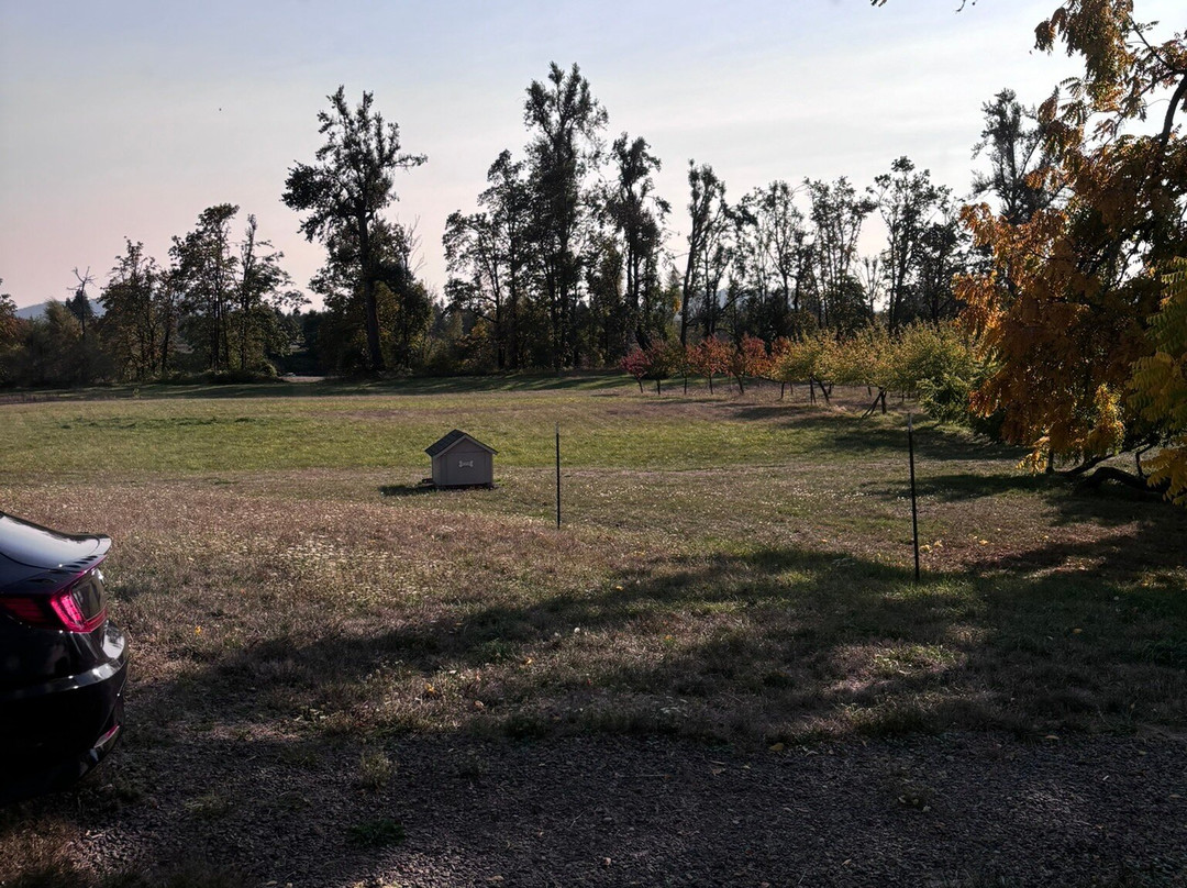 McKenzie Orchards Bed and Breakfast Inn主图