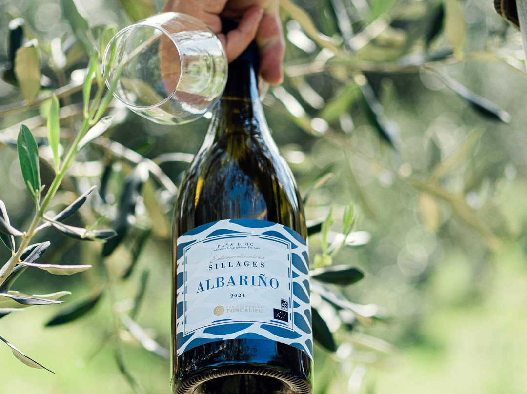 Comptoir de Cazouls - Les Vignerons du Pays d'Enserune景点图片