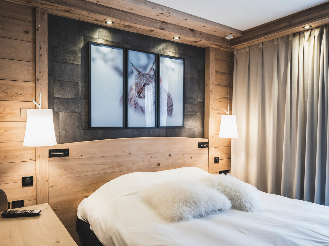 Hôtel Les Mélèzes***主图