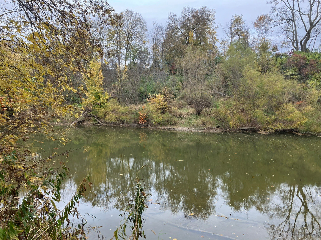 Schekelhoff Park-Tiffin必去景点