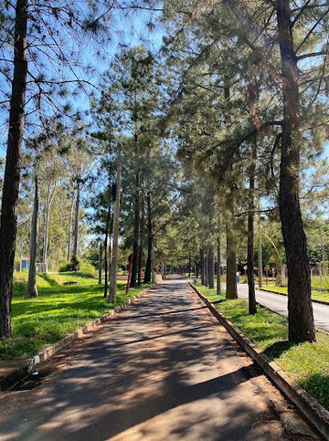 Parque Pinheirinho-Araraquara必去景点