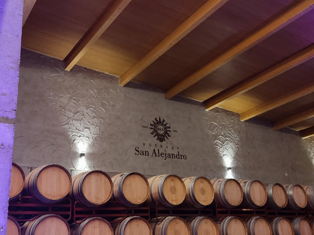 Bodegas San Alejandro-Miedes de Aragon必去景点