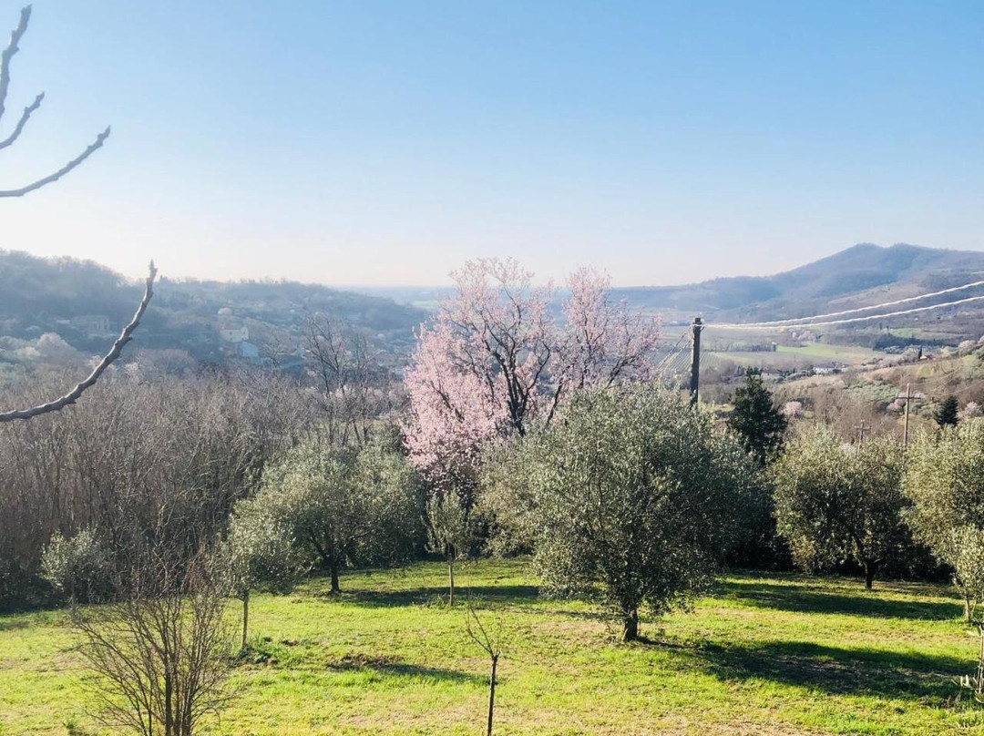 Tavern Di Arqua