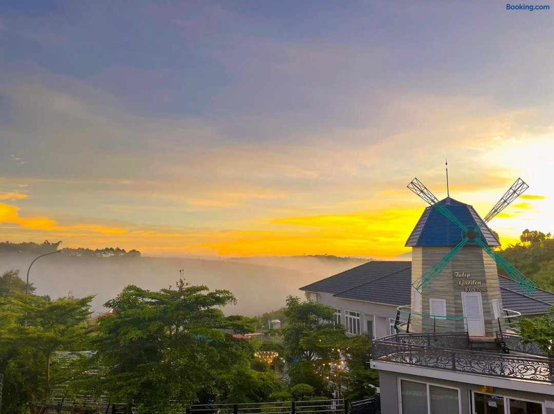 Tulip Garden Bao Loc