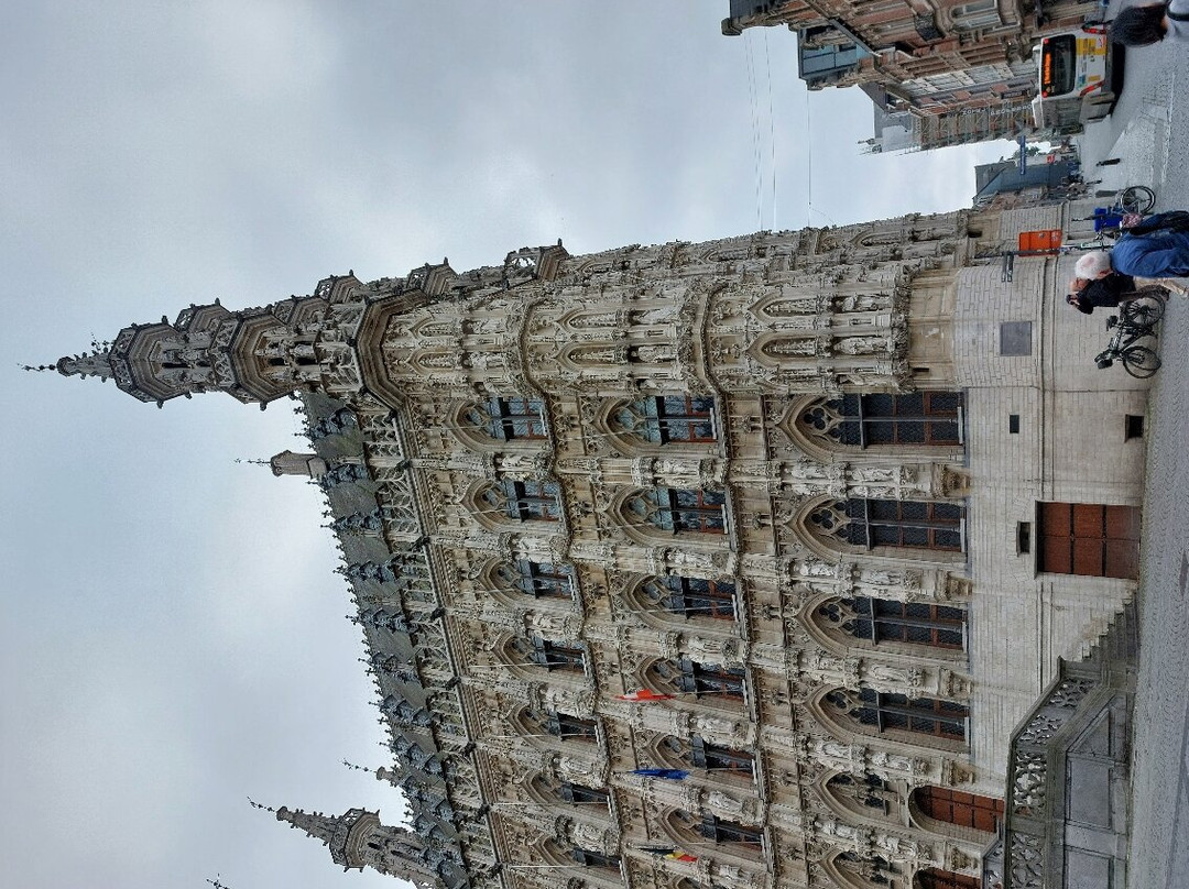 Historic Leuven Town Hall景点图片