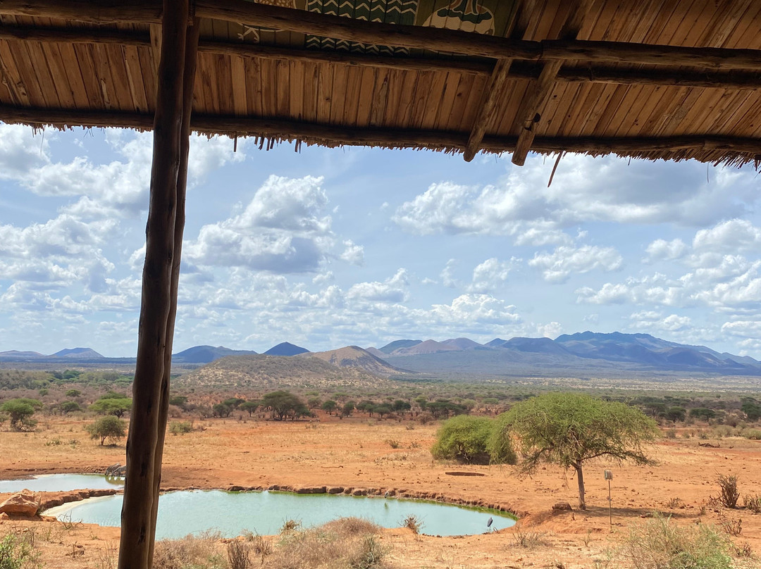 基拉库尼赛雷那野生动物园旅馆主图