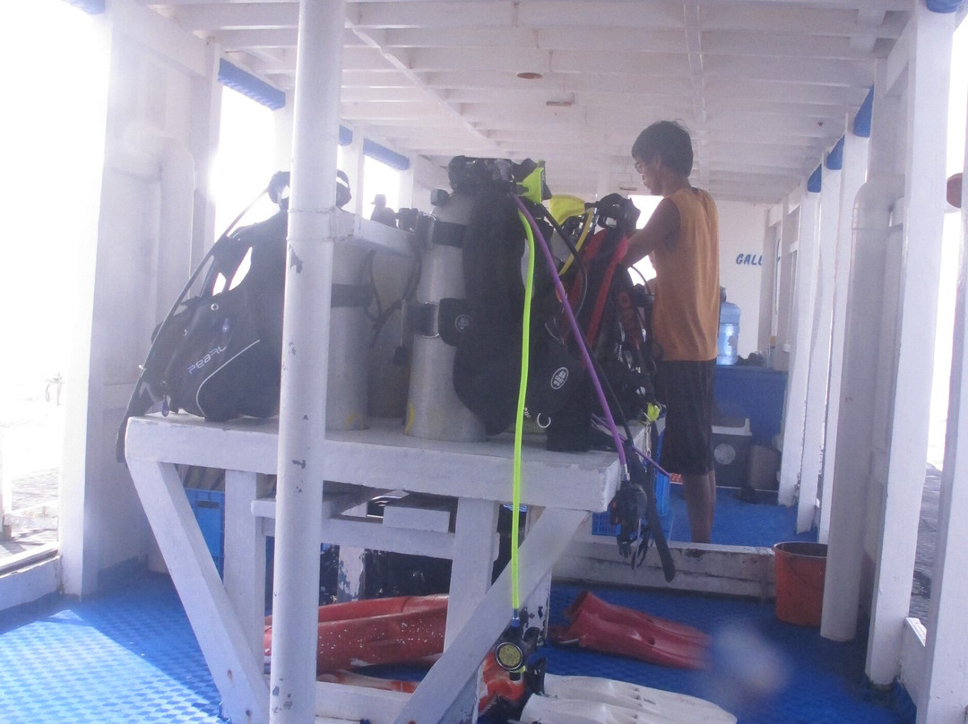 Southern Leyte Divers主图