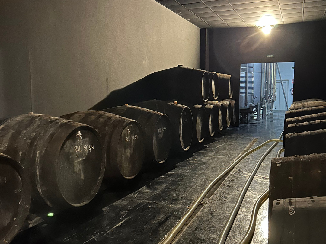 Bodegas Luis Pérez景点图片