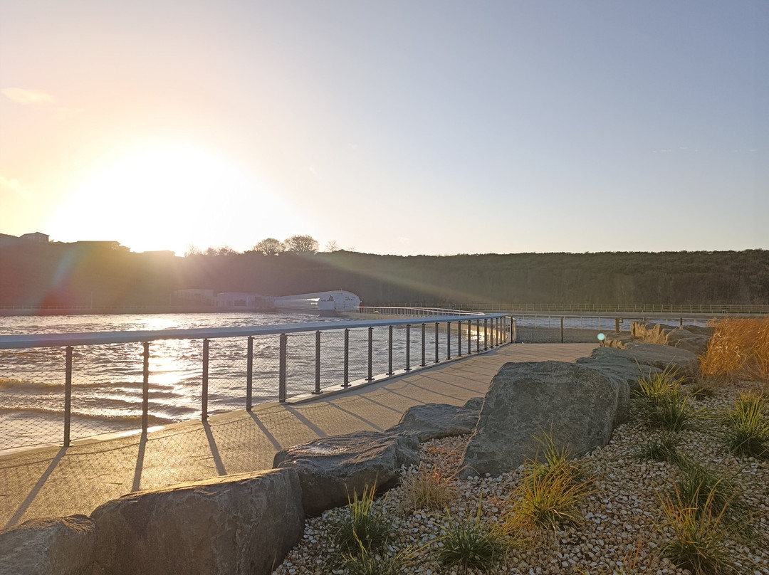 Michelle Denham Wellness Treatments at Lost Shore Surf Resort Ratho