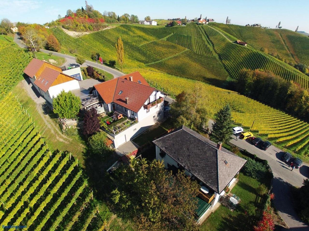 Glanz an der Weinstrasse旅游攻略图片
