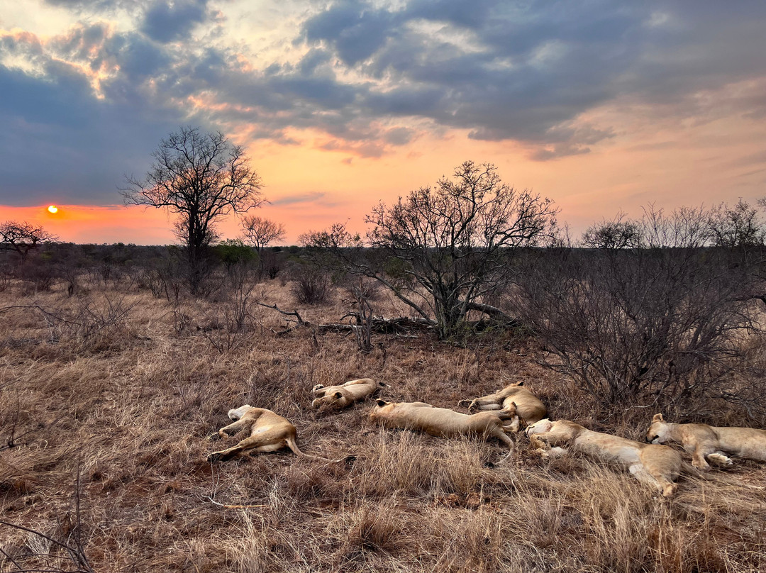 African Travel Consultants-Sabie Park必去景点