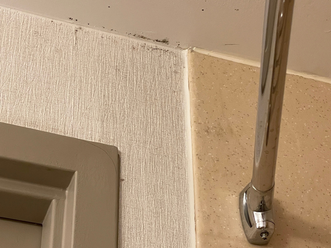 安纳波利斯希尔顿花园酒店主图