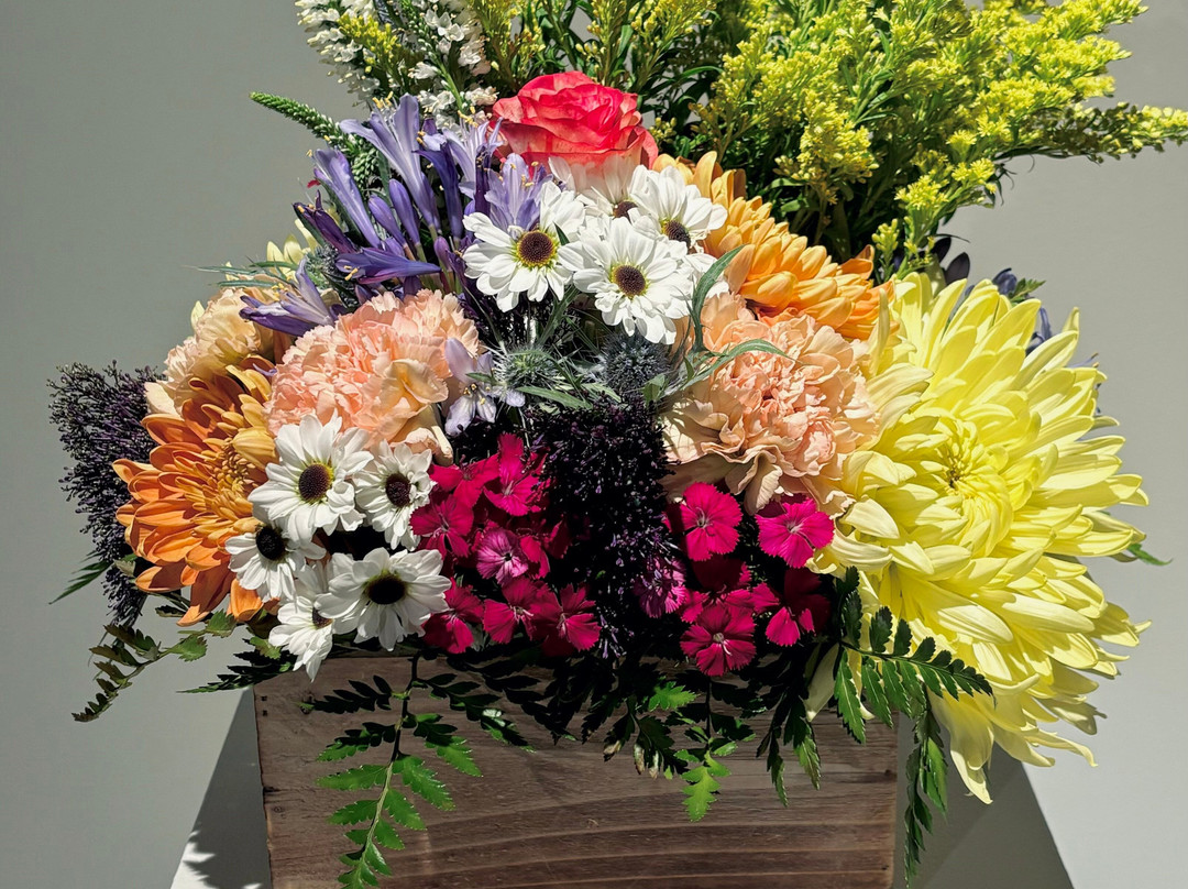 Museum of Art and Archaeology-哥伦比亚市必去景点