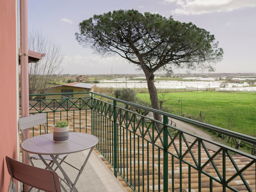 B&b Terra Di Vento主图