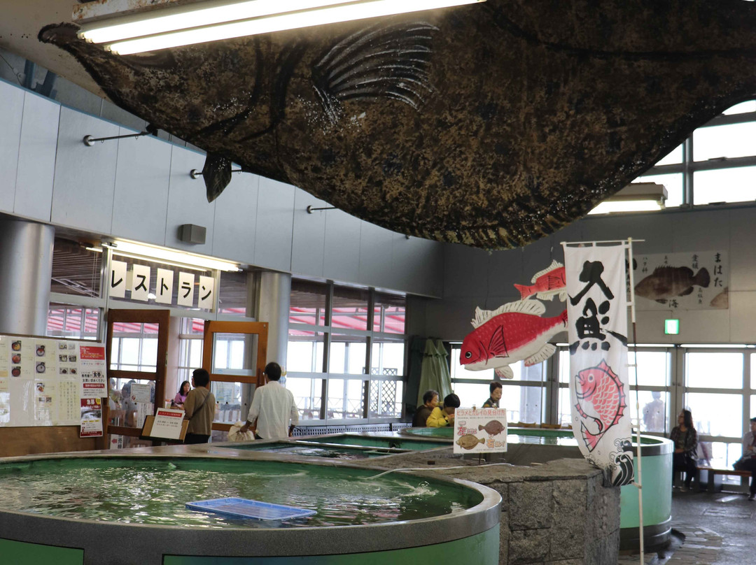 Roadside Station Tatara Shimanami Park-今治市必去景点